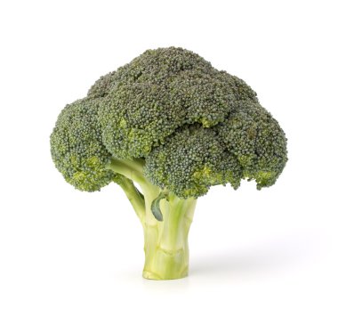 Broccoli vegetable clipart