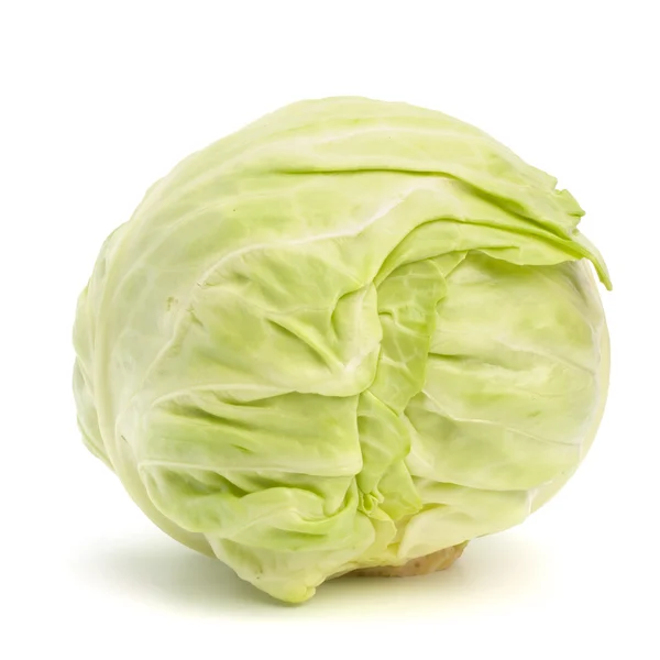 Head of cabbage — Stock Photo, Image