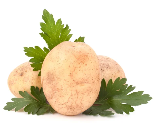 Картофель и листья петрушки — стоковое фото