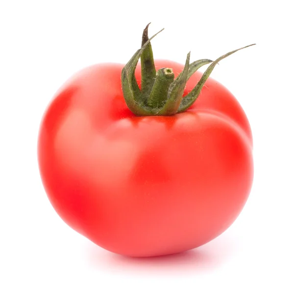 Tomato vegetable — Stock Photo, Image