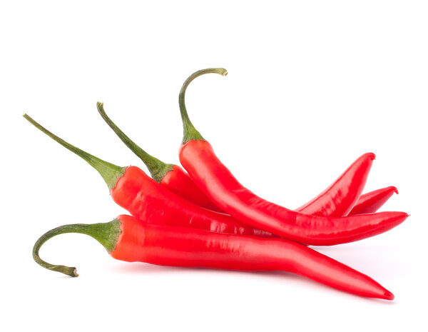 Hot red chili or chilli pepper