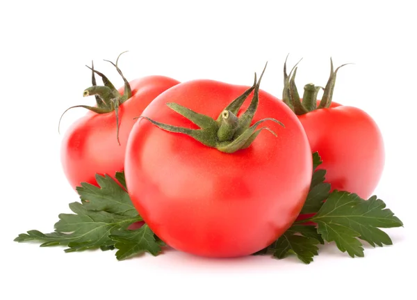 Drei Tomatengemüse und Petersilienblätter Stillleben — Stockfoto