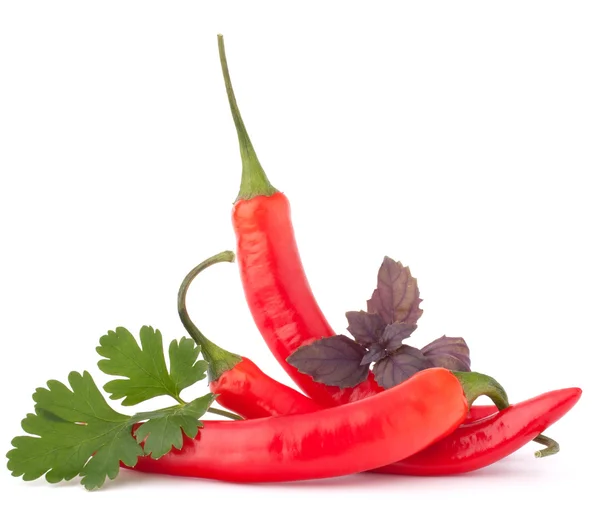 Chili rojo picante o chile y hierbas aromáticas hojas todavía l — Foto de Stock