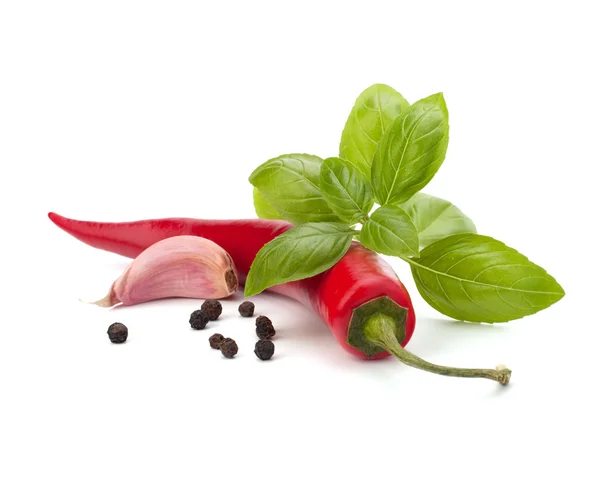 Chili pepper and flavoring herbs — Stock Photo, Image