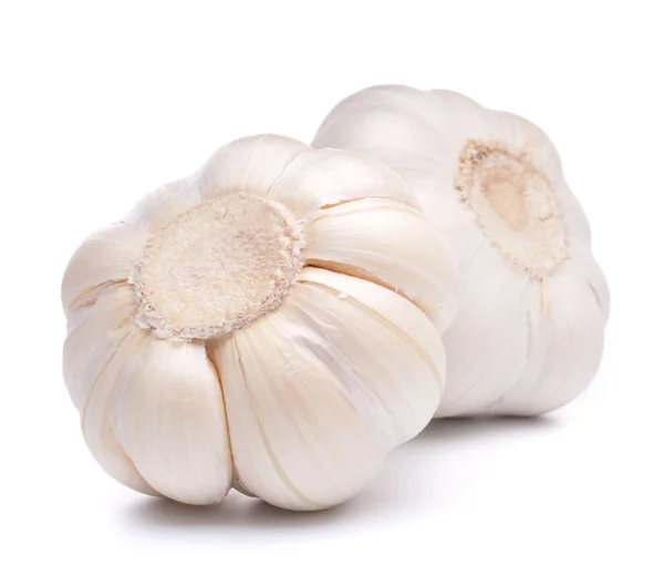 stock image Garlic bulb