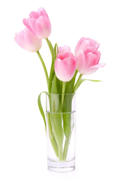 ピンクチューリップ花束白地に隔離された花瓶 — ストック写真