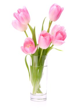 Pink tulips bouquet in vase isolated on white background clipart