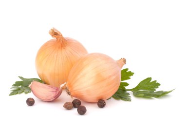 Onion and garlic clove