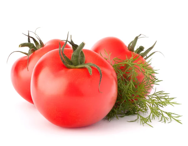 Tres verduras de tomate y hojas de eneldo bodegón — Foto de Stock