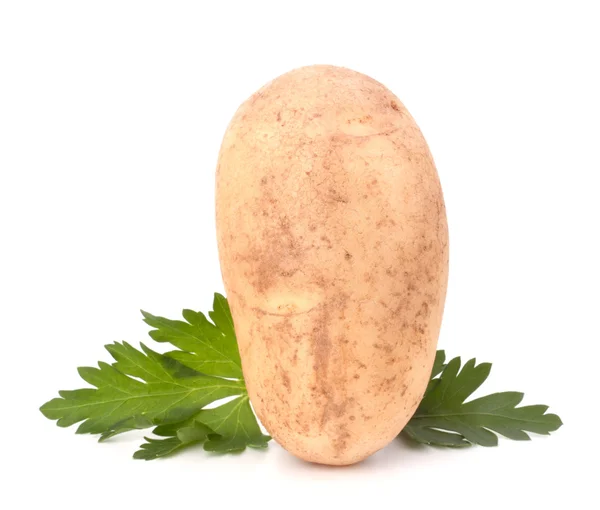 Blätter von Kartoffeln und Petersilie — Stockfoto