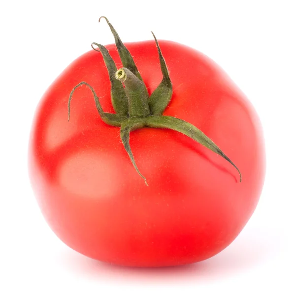 Legume de tomate — Fotografia de Stock