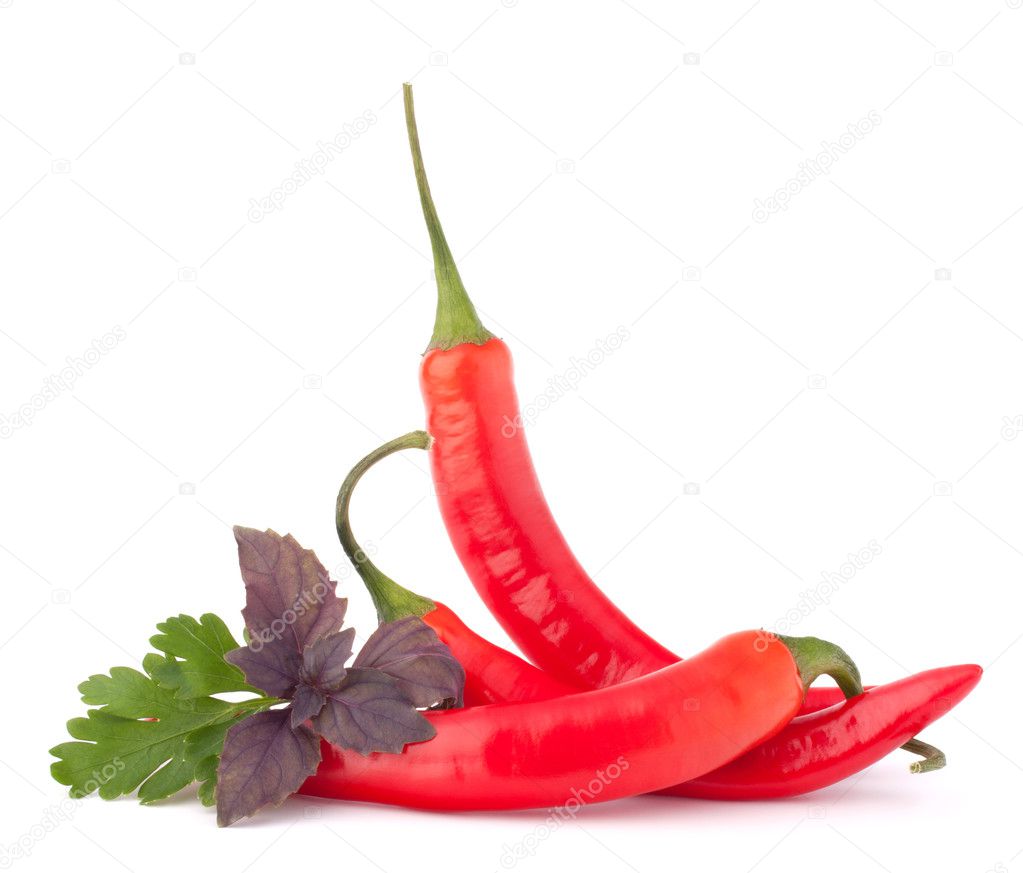 Hot red chili or chilli pepper and aromatic herbs leaves still l