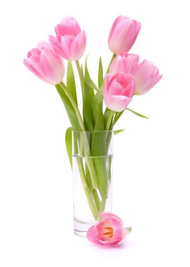 Pink tulips bouquet in vase isolated on white background clipart