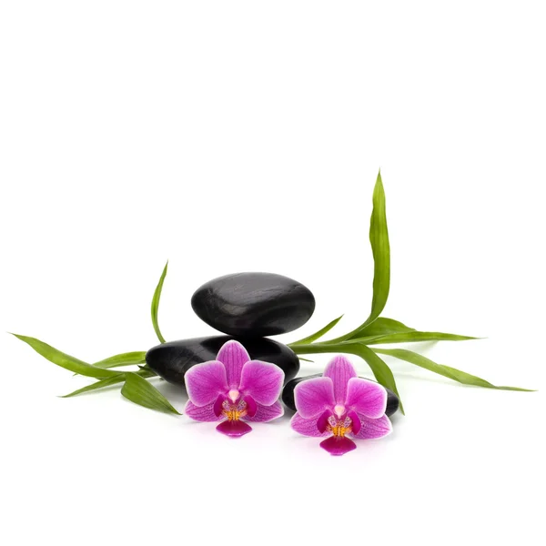 stock image Zen pebbles balance. Spa and healthcare concept.