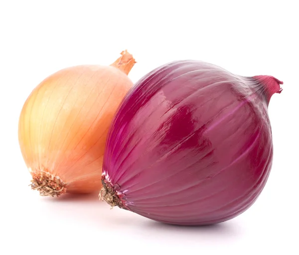 stock image Red and gold onion bulbs