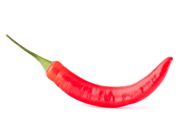 Varm röd chili eller chilipeppar — Stockfoto
