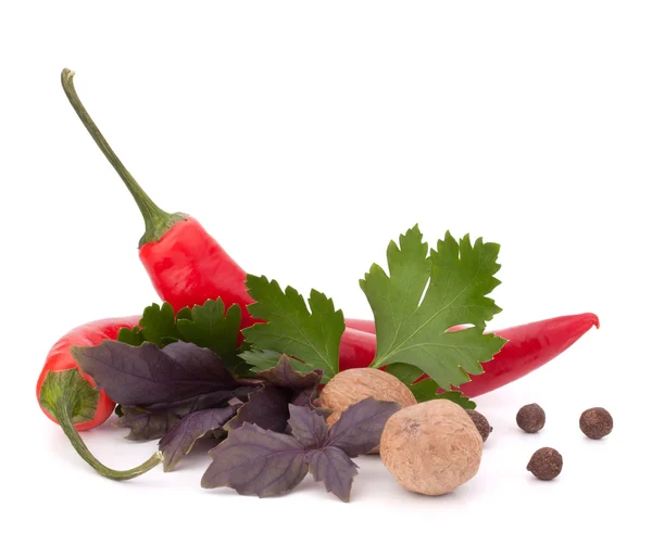Sıcak kırmızı biber veya kırmızı biber biber ve aromatik bitkiler yaprakları hala l — Stok fotoğraf