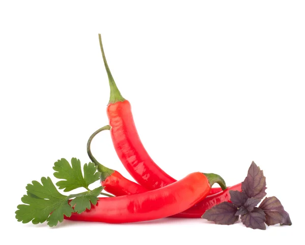 Chili rojo picante o chile y hierbas aromáticas hojas todavía l —  Fotos de Stock