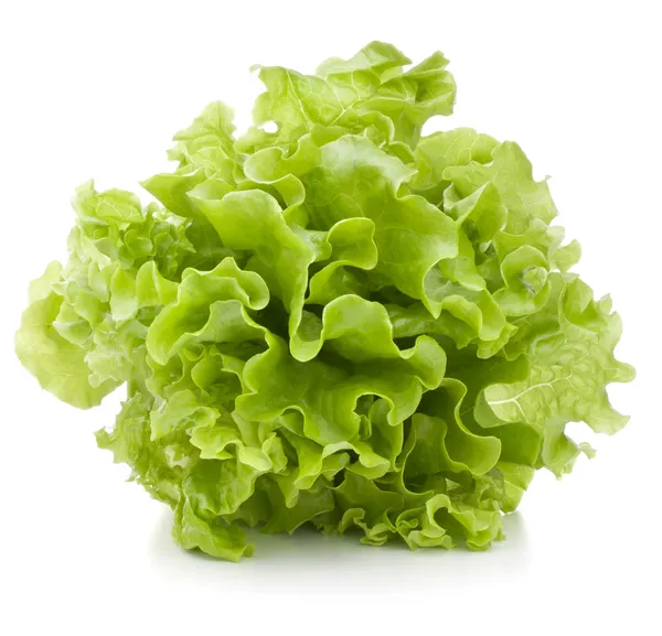 Friss saláta saláta levelek csomó — Stock Fotó