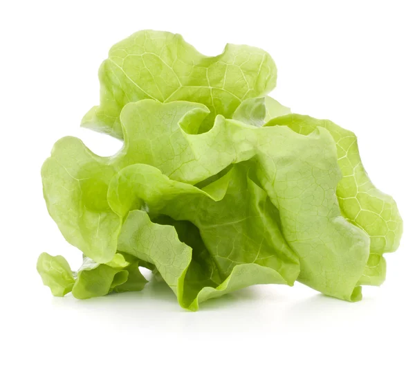 Ramo de hojas de ensalada de lechuga fresca — Foto de Stock