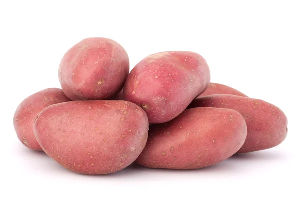 Ny potatis knölen heap — Stockfoto