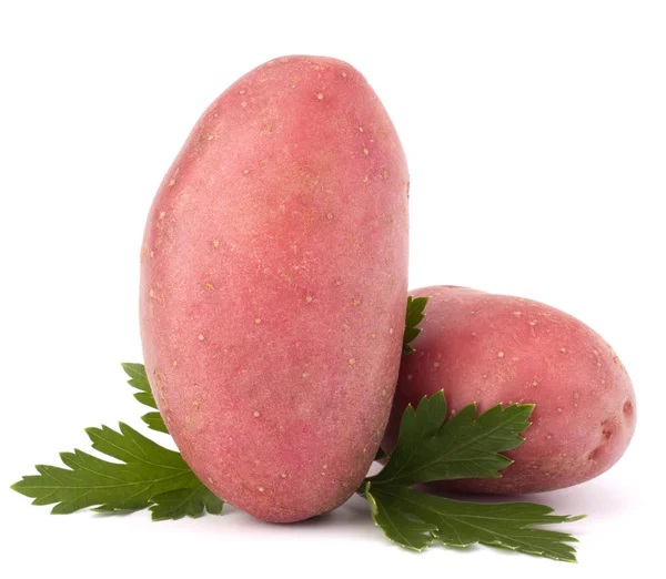 Nya potatis rotsaker och persilja blad — Stockfoto