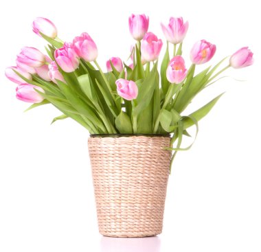 Pink tulips bouquet in vase isolated on white background clipart