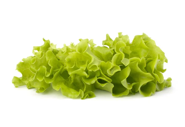 Insalata di lattuga fresca foglie mazzo — Foto Stock