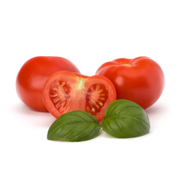 Hoja de tomate y albahaca —  Fotos de Stock