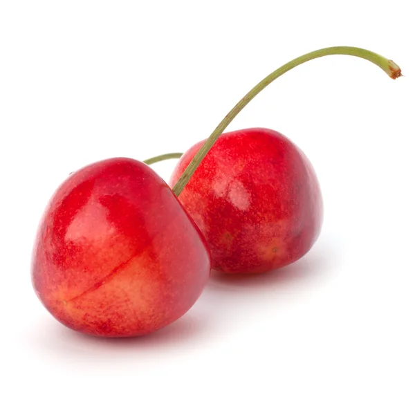 2 체리 열매 — 스톡 사진