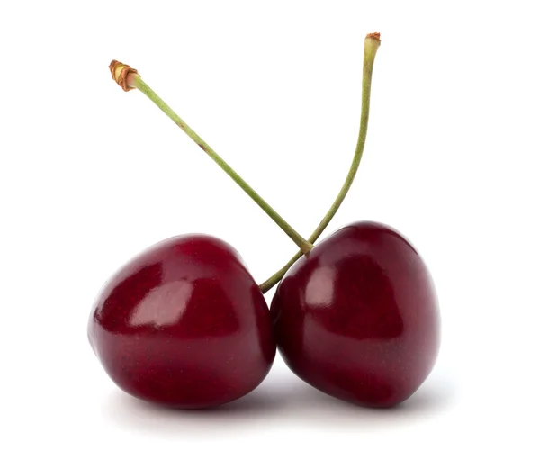 Dvě třešňový plody — Stock fotografie