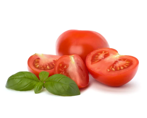 Folha de tomate e manjericão — Fotografia de Stock