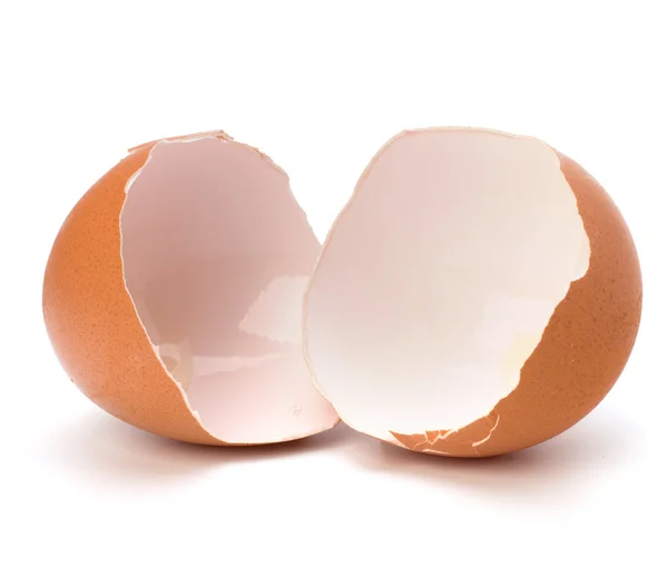 Guscio d'uovo rotto — Foto Stock