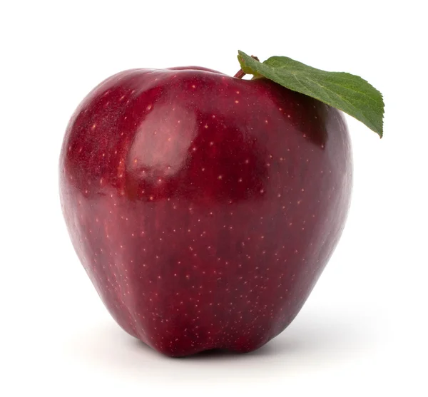Tatlı Kırmızı elma yeşil yaprak — Stok fotoğraf