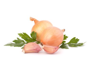 Onion and garlic clove