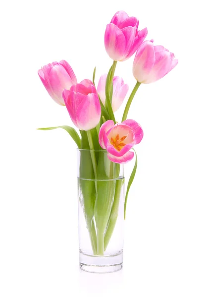 Rosa tulipanbukett i vase isolert på hvit bakgrunn – stockfoto
