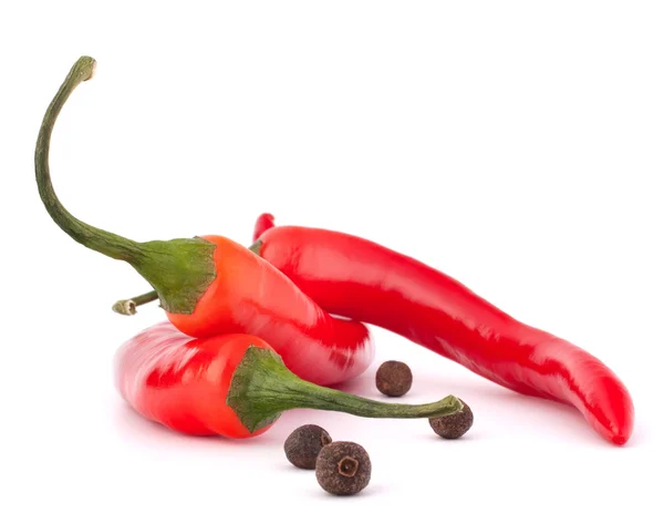 Pimenta vermelha quente ou pimenta malagueta e pimenta preta — Fotografia de Stock