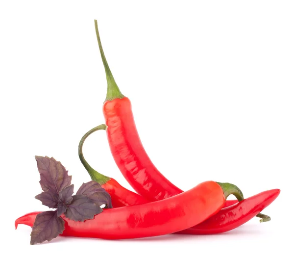 Scharfe rote Chili- oder Chilischote und Basilikumblätter Stillleben — Stockfoto