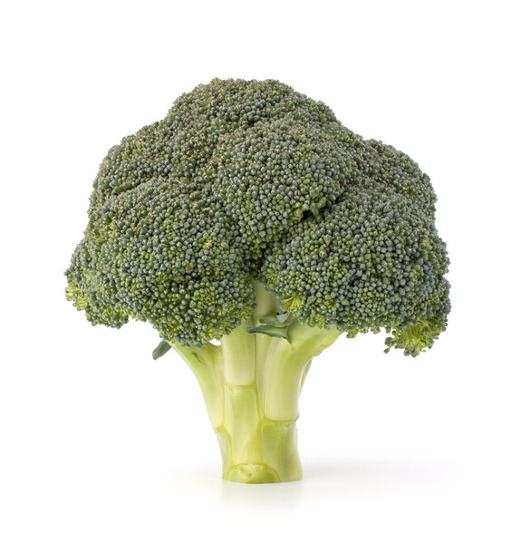 Broccoli vegetable