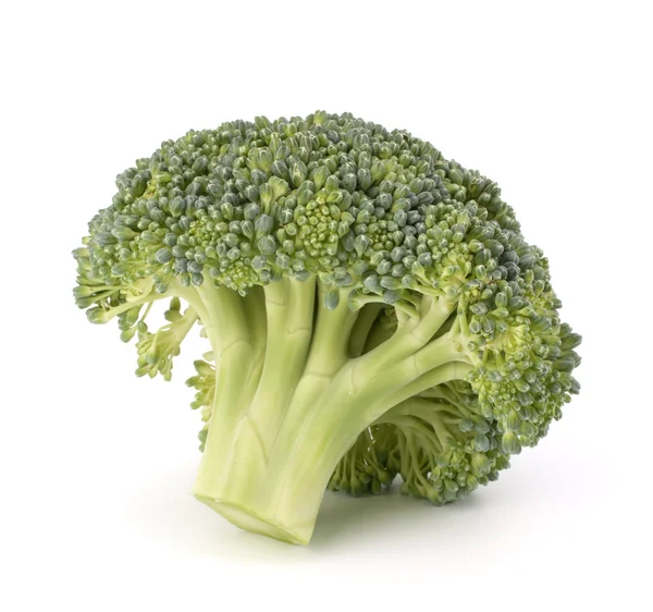 Légumes brocoli — Photo