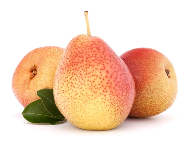 Frutos maduros de pera —  Fotos de Stock