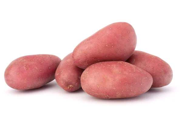 Ny potatis knölen heap — Stockfoto