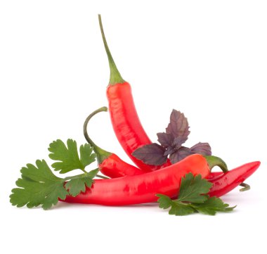 Hot red chili or chilli pepper and aromatic herbs leaves still l clipart