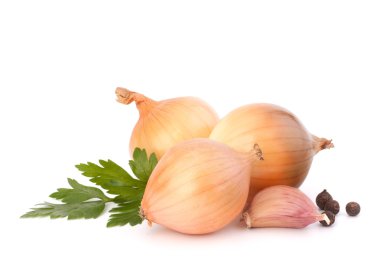 Onion and garlic clove