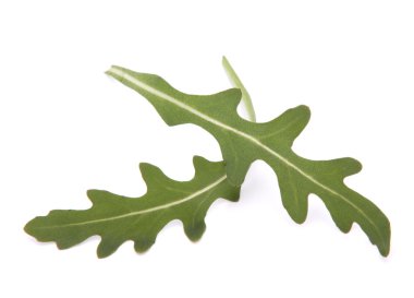 tatlı rucola salata veya roket marul yaprakları