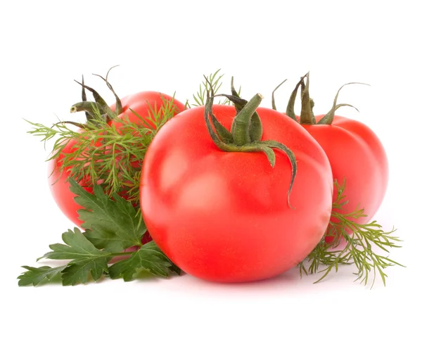 Three tomato vegetables and parsley and dill leaves still life — Stock Photo, Image