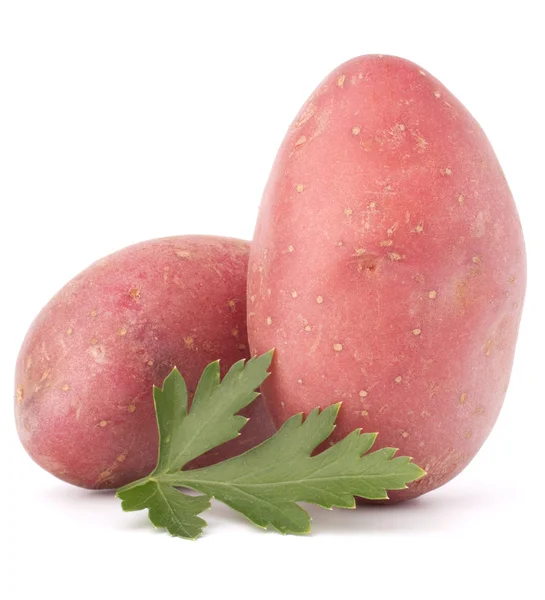 Nuevo tubérculo de patata y hojas de perejil — Foto de Stock