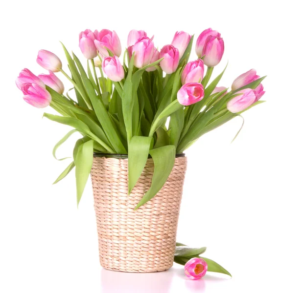 stock image Pink tulips bouquet in vase isolated on white background