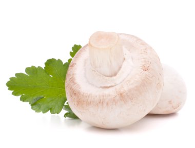 champignon mantar ve maydanoz yaprakları