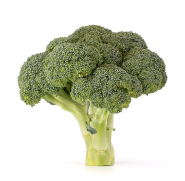 Broccoli vegetable clipart